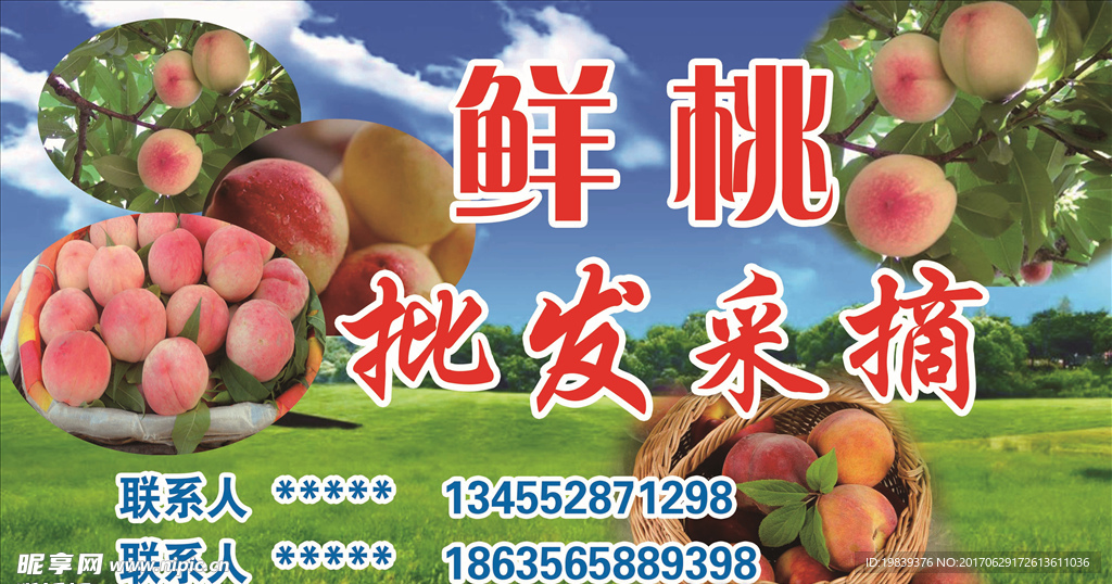 桃子海报