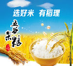 五谷杂粮