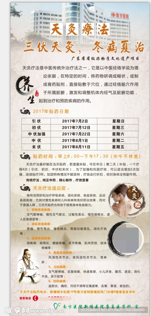 三伏天海报 天灸疗法展架 中医