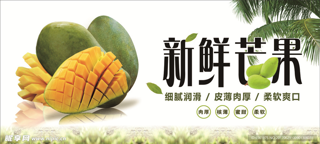 芒果