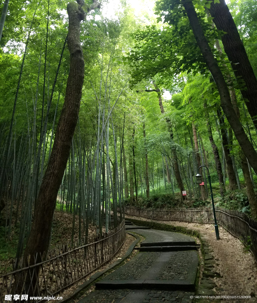 杭州宝石山登山路