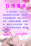 玫瑰灌水
