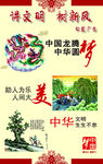 讲文明 树新风