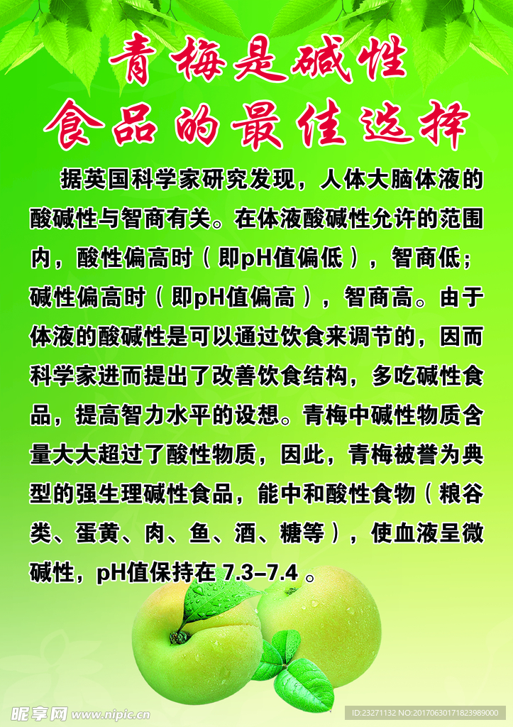 陆河青梅