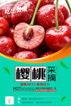 盛夏美味樱桃采摘海报