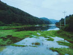 野鸭湖