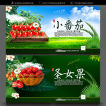 小番茄
