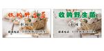 野生菌 海报  名片 cdr