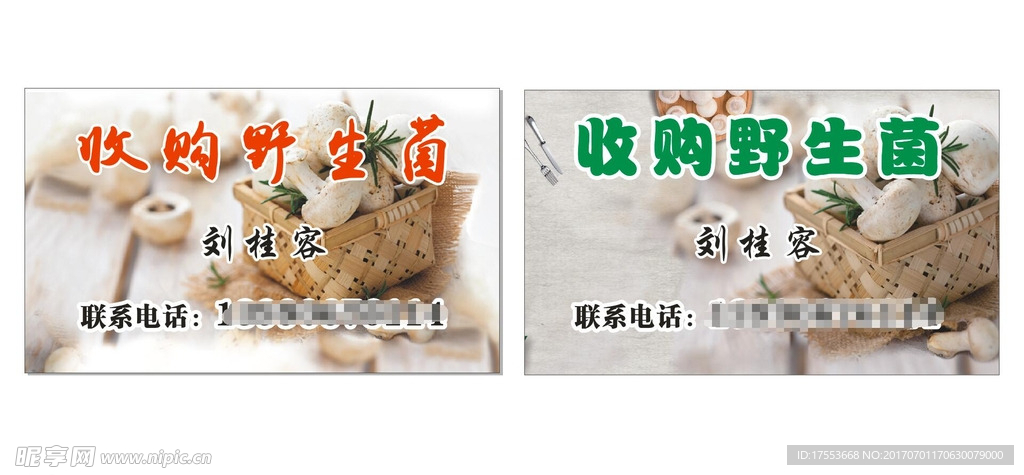野生菌 海报  名片 cdr