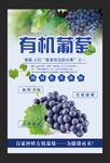 有机葡萄