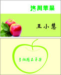 苹果名片