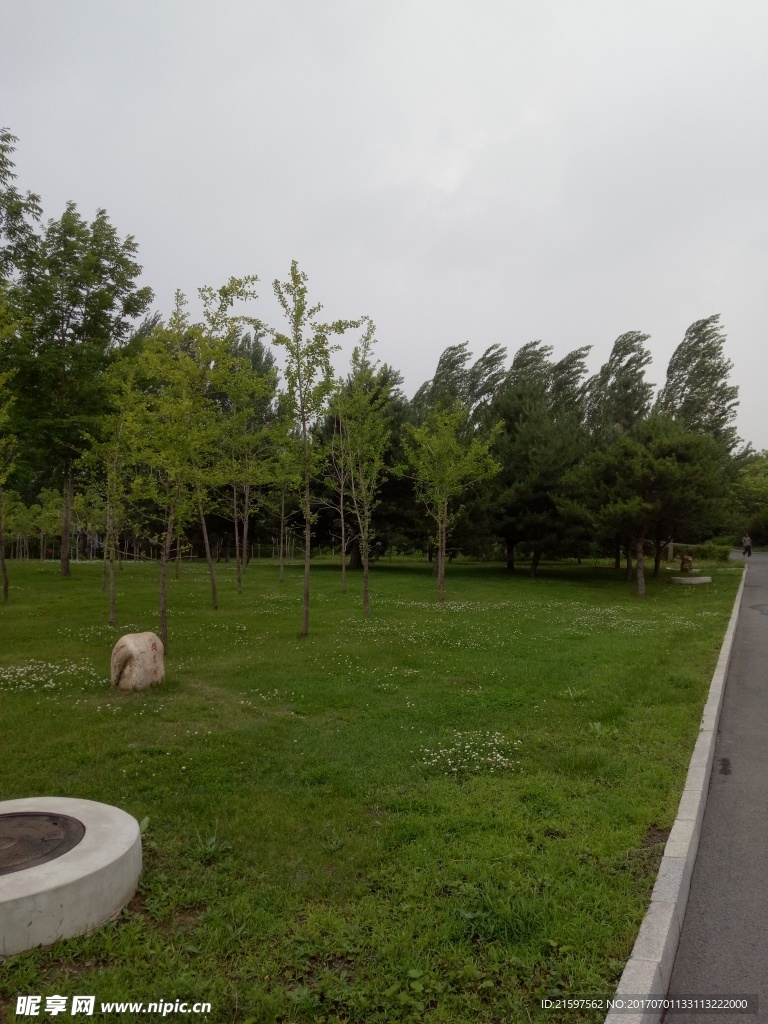 绿色草地