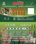 食用菌名片