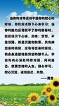班级文化