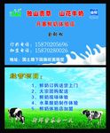 牛奶名片