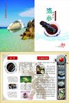海参二折页