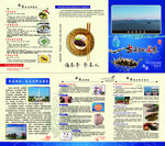 野生海参折页