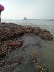 海边