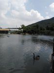无锡动物园