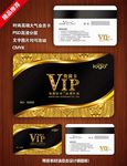 精致简约VIP会员卡贵宾卡设计