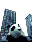 春熙路金融中心熊猫