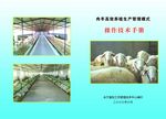 肉羊养殖生产管理操作技术手册
