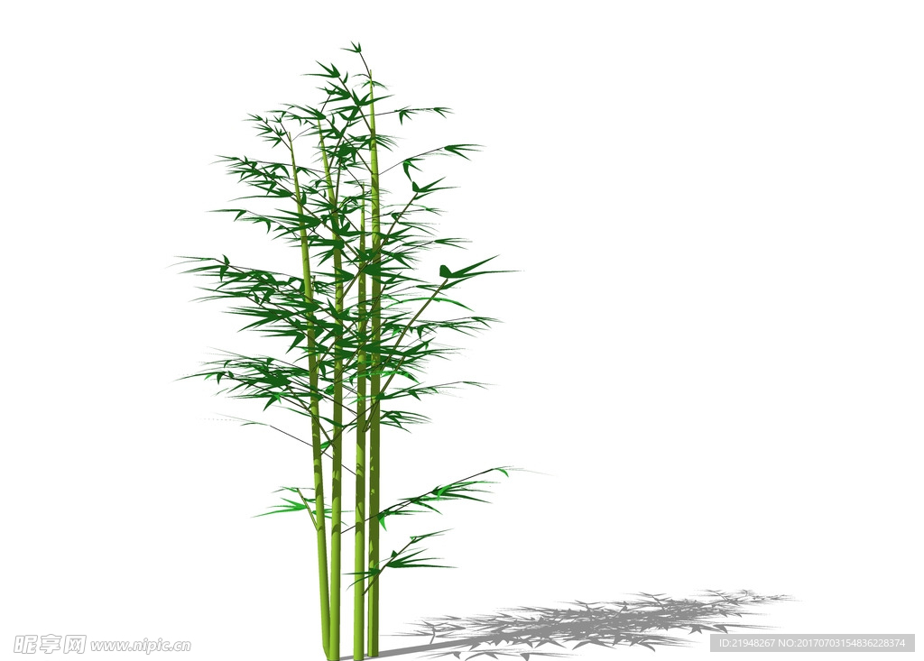 SU植物模型 竹子
