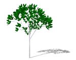 SU植物模型
