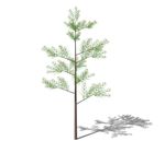 SU植物模型
