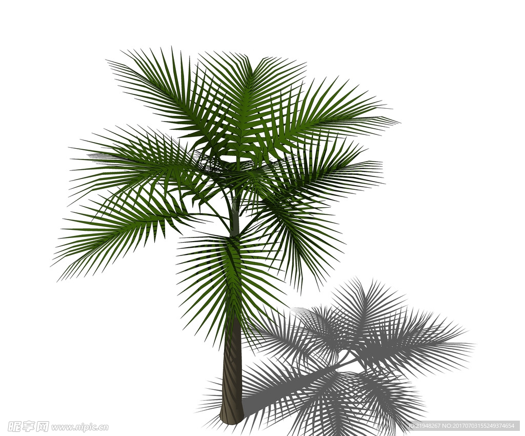 SU植物模型 棕榈芭蕉