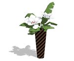 su植物模型 植物小品