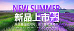 薰衣草海报新品上市海报