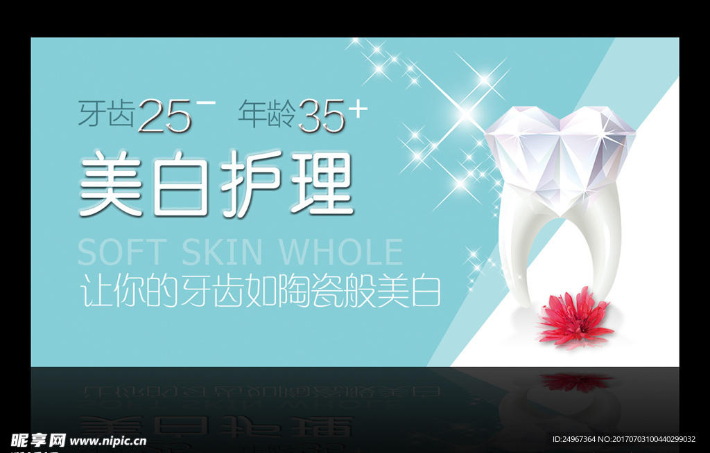 牙齿护理 牙齿banner