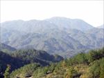 山