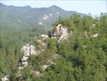 山
