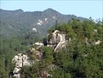山
