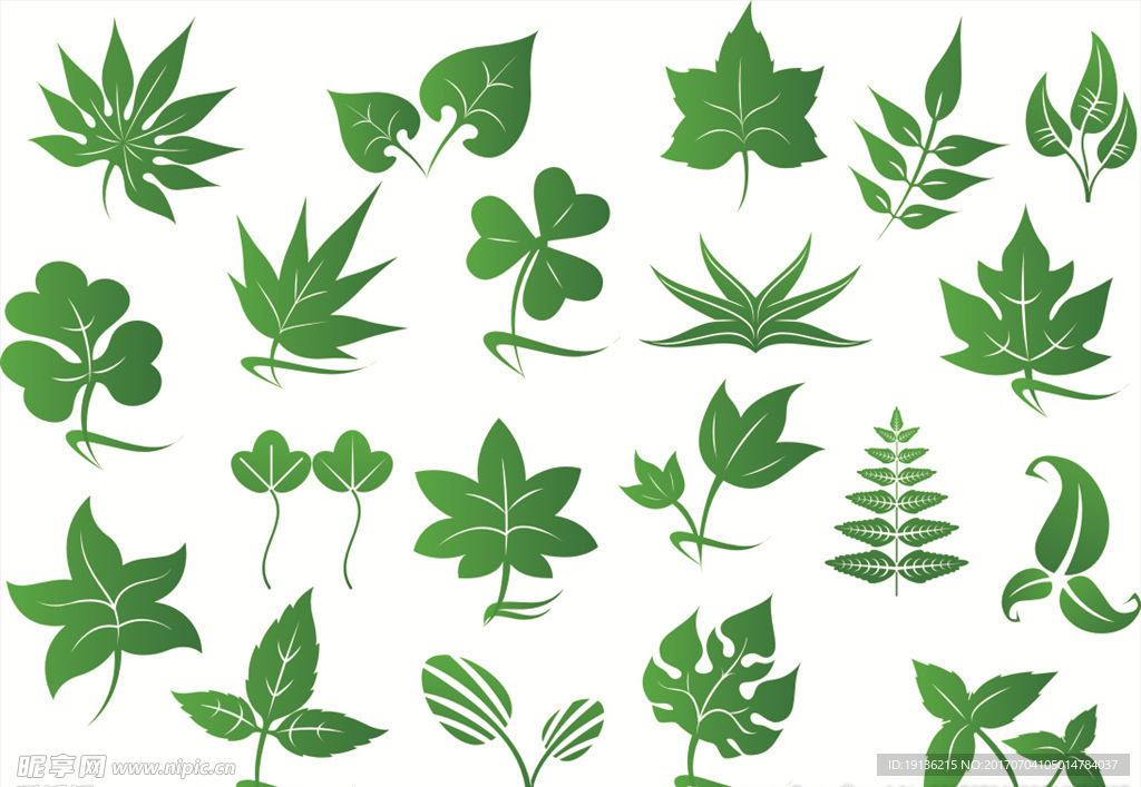 扁平化景观园艺植物树木树叶