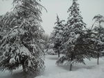雪景