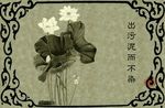 中国风之菏