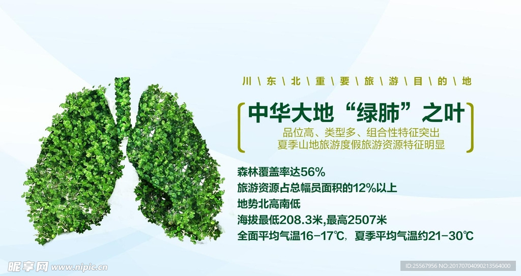 绿肺之叶
