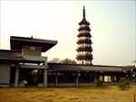 草地 天空 建筑