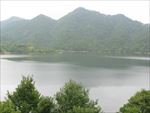 山水 树木
