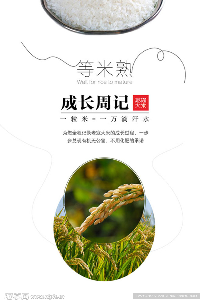 节约粮食