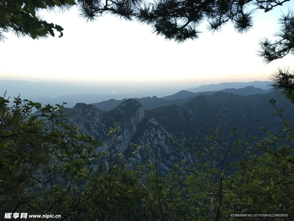 青山
