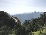 青山