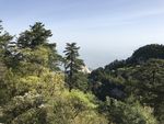 青山