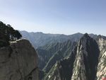 青山