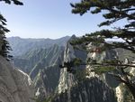 青山