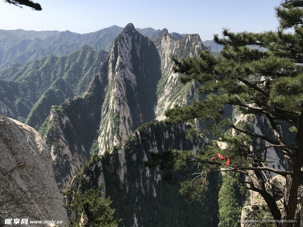 青山