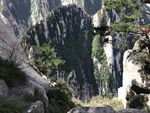 青山